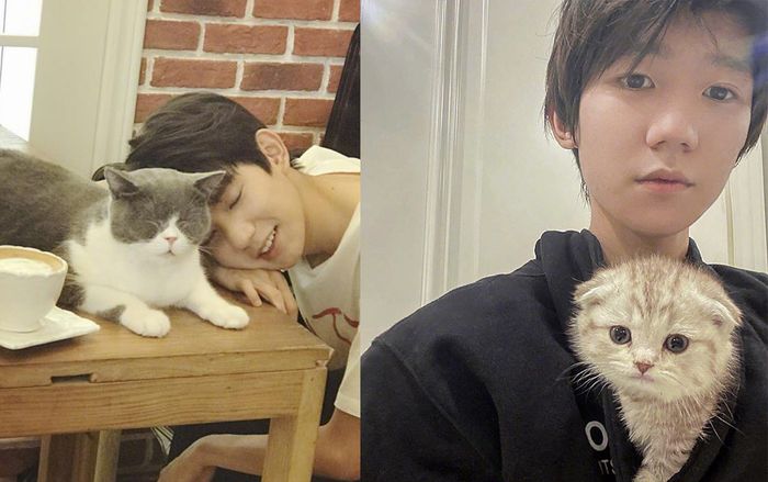 Fan ghen tị khi xuất hiện ‘người bạn mới’ được Vương Nguyên cưng chiều