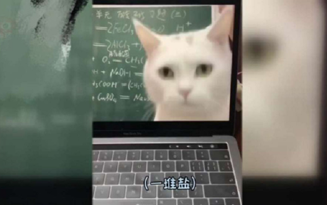 Ý tưởng độc đáo của thầy giáo nhằm thu hút sự chú ý từ phía học sinh khi dạy học trực tuyến mùa dịch