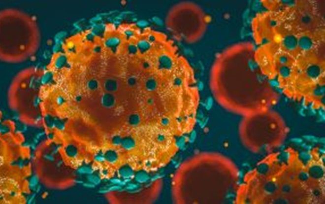 Virus corona chủng mới có 10 biến thể, khó biến mất vào mùa hè