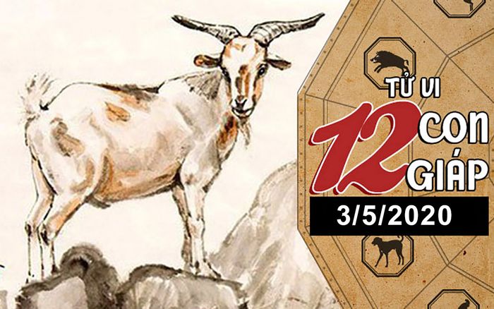 Tử vi chủ nhật ngày 3/5/2020 của 12 con giáp: Tỵ tài chính nở rộ, Mùi khả năng thoát ế cao
