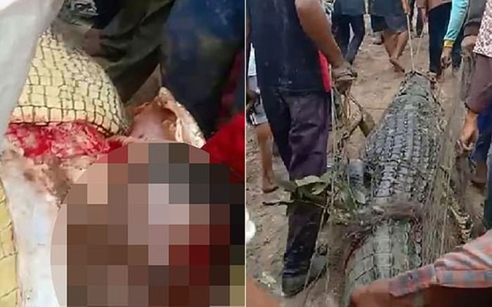 Mổ bụng cá sấu dài 4m, dân làng lạnh người khi nhìn thấy thứ bên trong