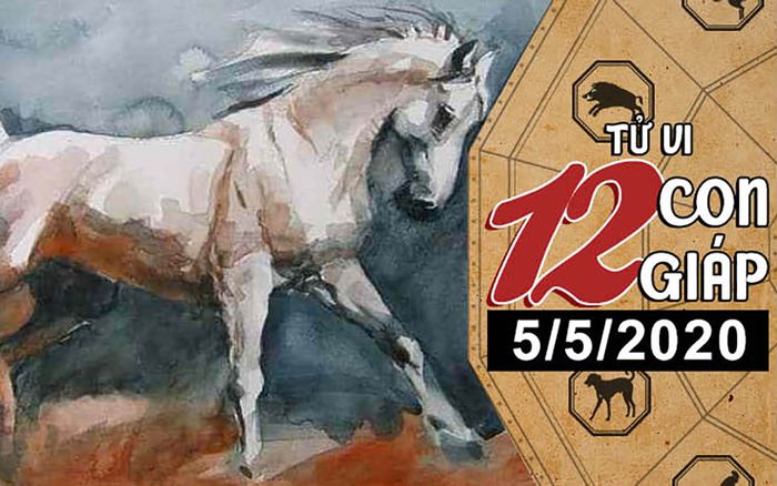 Tử vi thứ 3 ngày 5/5/2020 của 12 con giáp: Ngọ dễ phạm sai lầm, Hợi cẩn thận 'kẻ thứ ba'