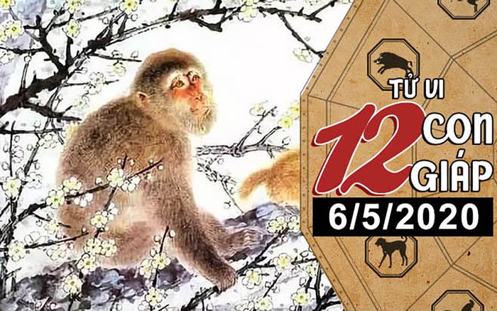 Tử vi thứ 4 ngày 6/5/2020 của 12 con giáp: Sửu cẩn thận lời ăn tiếng nói, Thân tài chính khởi sắc