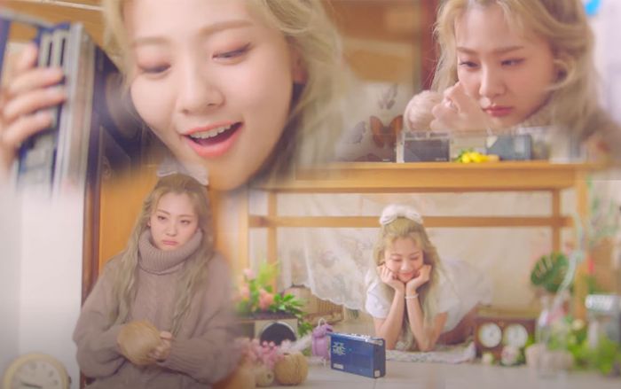 Trận chiến nhạc số khủng nhất Kpop tháng 5 chính thức khai màn: Butterfly and Cat của BOL4 và Baekhyun 'khuấy đảo' top tìm kiếm MelOn, debut ở hạng 2 sau 5 phút