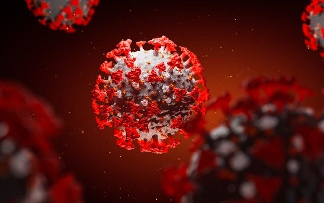 Virus corona tồn tại trong tinh dịch bệnh nhân nam ngay cả khi họ dần hồi phục