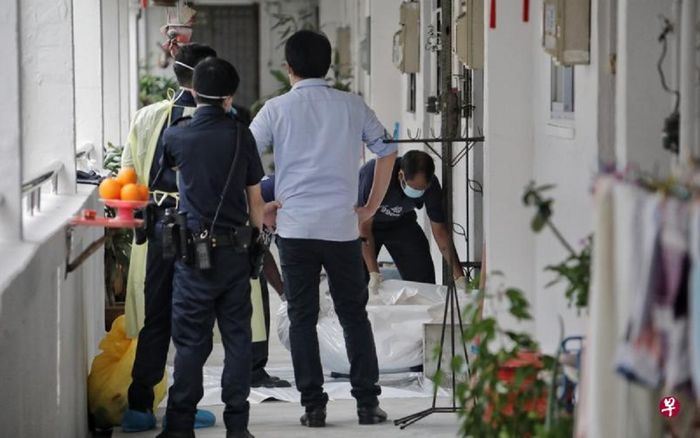 Ngửi thấy mùi lạ trong căn hộ, cảnh sát phát hiện cô gái tâm thần sống cùng thi thể mẹ suốt 5 ngày