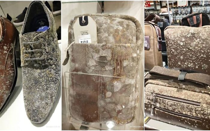 Đồ hiệu ‘mốc meo’ sau hai tháng cửa hàng đóng cửa nghỉ dịch COVID-19