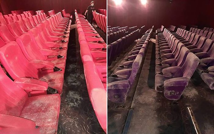 Đóng cửa nghỉ dịch 2 tháng, rạp chiếu phim bám đầy nấm mốc