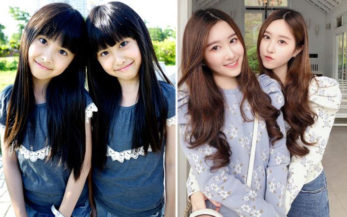Cuộc sống cặp song sinh '3 tuổi đã được gọi là mỹ nhân tương lai', nổi tiếng mạng xã hội 17 năm trước giờ ra sao?
