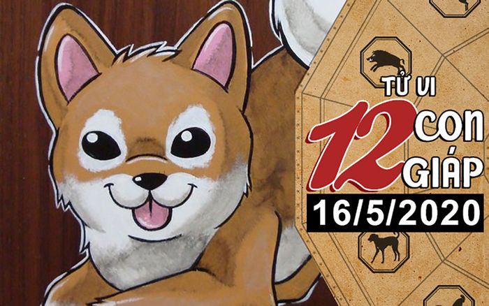 Tử vi thứ 7 ngày 16/5/2020 của 12 con giáp: Ngọ dễ bị lừa tiền, Tuất vượng tài lộc