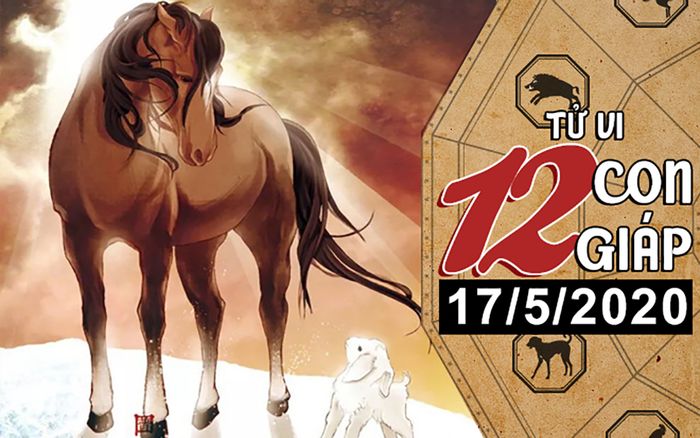 Tử vi chủ nhật ngày 17/5/2020 của 12 con giáp: Tý tài chính eo hẹp, Ngọ lười biếng
