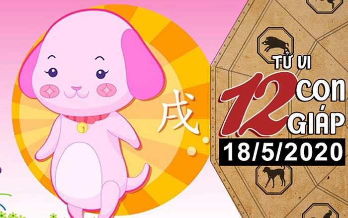 Tử vi thứ 2 ngày 18/5/2020 của 12 con giáp: Sửu ngập đầu trong công việc, Tuất nhận vận may bất ngờ