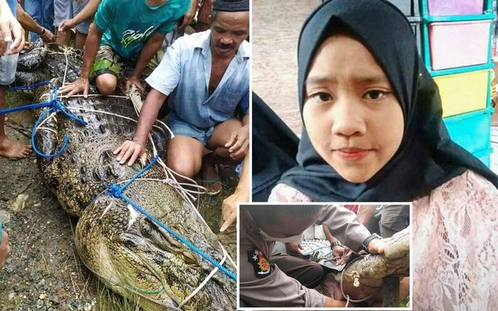 Rụng sạch hàm răng, cá sấu dìm chết thiếu nữ nhưng không thể ăn thịt