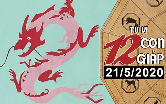 Tử vi thứ 5 ngày 21/5/2020 của 12 con giáp: Thìn vượng tài lộc, Mão dễ phân tâm