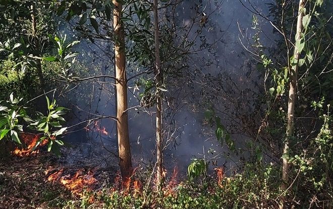 3 giờ chữa cháy rừng tràm hơn 5.000m2 nằm sát sân bay Đà Nẵng