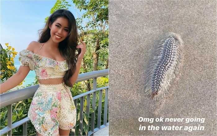 Tiên Nguyễn hoảng hốt khi lần đầu bắt gặp sinh vật 'ngứa ngáy' gây nguy hiểm trong kỳ nghỉ tại bãi biển