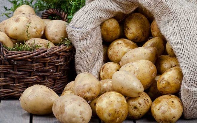 Ông lão đội nắng đội mưa, đi lạc 100 km chỉ để đưa cho con vài củ khoai tây gây xúc động mạnh