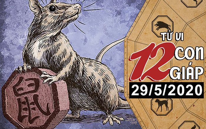 Tử vi thứ 6 ngày 29/5/2020 của 12 con giáp: Tý cẩn thận họa mất tiền, Mùi có thu nhập ngoài luồng