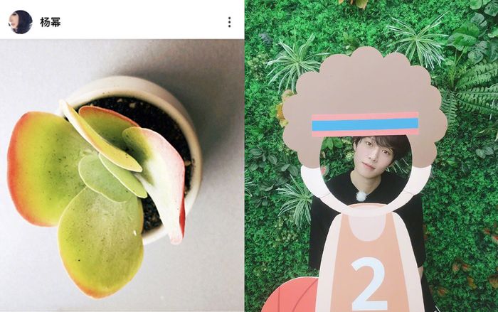 Dương Mịch - Ngụy Đại Huân cùng đăng một chủ đề, ám chỉ tình yêu dành cho nhau?