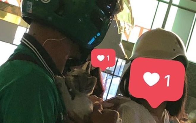 Chàng trai chạy Grab ôm bé mèo con bị bỏ rơi đi khắp phố tìm người nhận nuôi khiến nhiều người cảm động