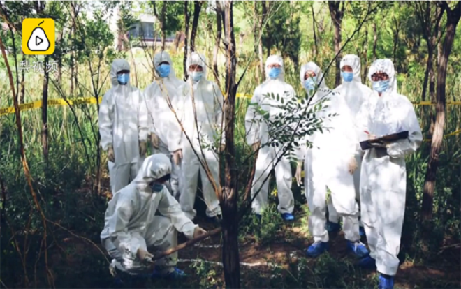 Cư dân mạng xuýt xoa trước bộ ảnh kỷ yếu tốt nghiệp của sinh viên chuyên ngành pháp y