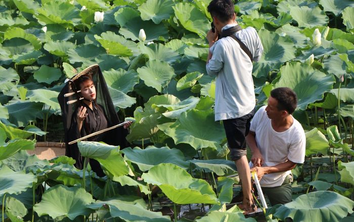 Rủ nhau đội nắng 40 độ C chụp ảnh bên hoa sen, mải mê đến nỗi suýt lật cả thuyền