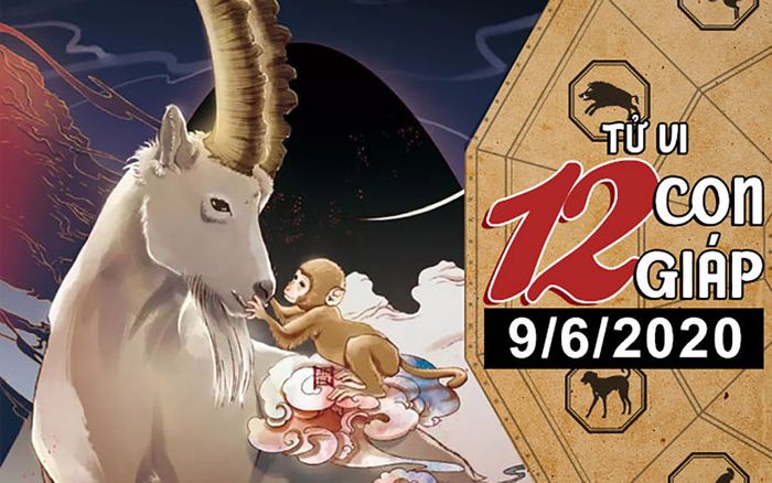 Tử vi thứ 3 ngày 9/6/2020 của 12 con giáp: Mão thiếu trách nhiệm với cuộc sống hôn nhân, Mùi chuyện tình tăm tối