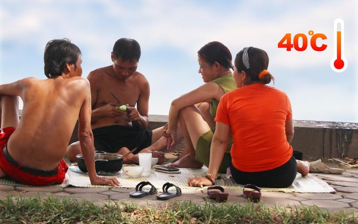 Người Hà Nội mang cơm ra hồ ăn, mắc võng dưới gốc cây ngủ tránh nóng hơn 40 độ C