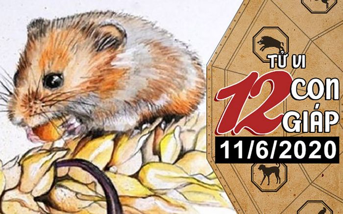 Tử vi thứ 5 ngày 11/6/2020 của 12 con giáp: Tý được quý nhân giúp đỡ, Thìn bị nguyệt lão bỏ rơi