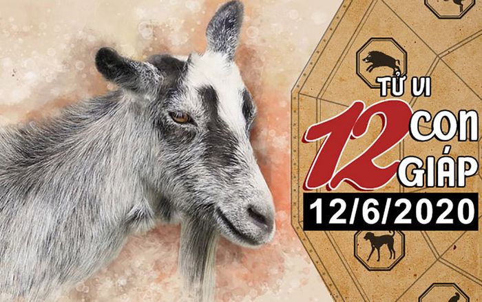 Tử vi thứ 6 ngày 12/6/2020 của 12 con giáp: Thìn chớ tham lam, Mùi trở nên lười biếng