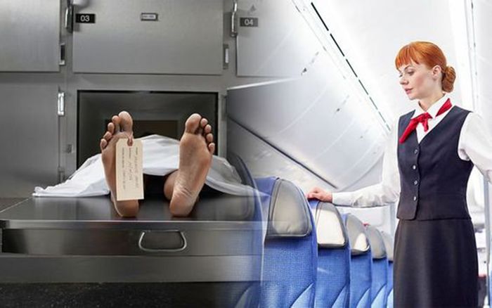 Hãng hàng không che giấu việc vận chuyển thi thể trên máy bay ra sao?