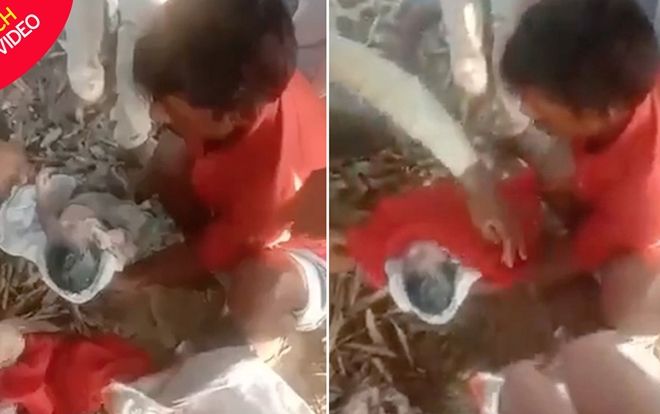 Bé gái sơ sinh sống sót thần kỳ sau khi bị bỏ rơi trong túi nhựa