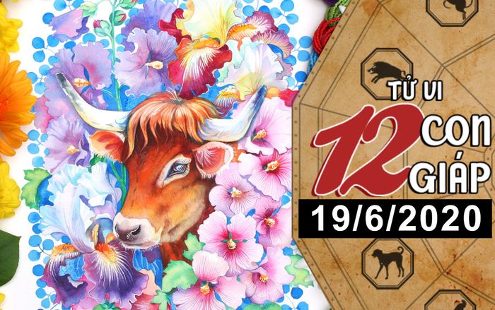 Tử vi thứ 6 ngày 19/6/2020 của 12 con giáp: Sửu khả năng cao thoát kiếp FA, Ngọ nên cẩn thận kẻ thứ 3