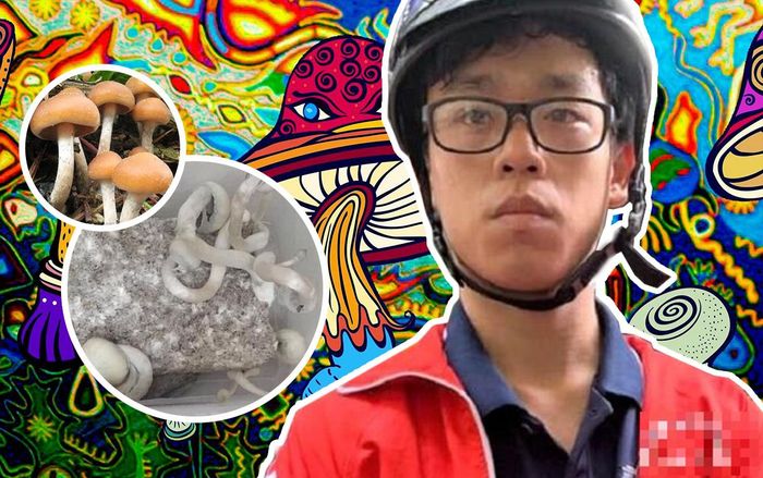 Bất ngờ với trình độ của nam sinh 19 tuổi bị bắt do trồng 'nấm ma túy': Sinh viên ĐH Bách Khoa Hà Nội, học sinh giỏi nhiều năm liền