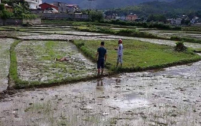 Hai người đàn ông cùng một phụ nữ tử vong với nhiều vết thương ở Điện Biên