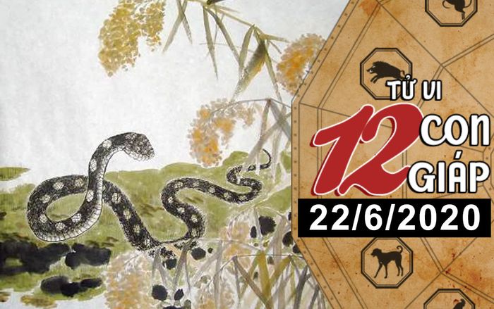 Tử vi thứ 2 ngày 22/6/2020 của 12 con giáp: Sửu dính họa mất tiền, Tỵ vượng tài lộc