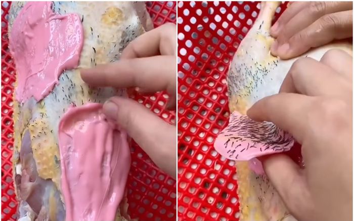 Thấy bà dì hàng xóm vất vả nhổ lông vịt, cô gái nảy ra sáng kiến khó ngờ