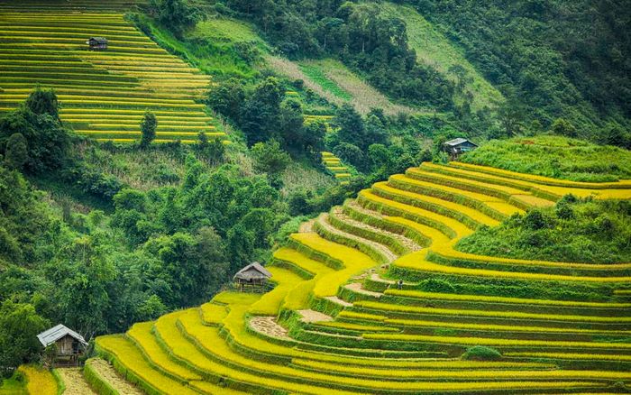 Vẻ đẹp miền núi Tây Bắc được tái hiện trong sự kiện âm nhạc tầm quốc tế