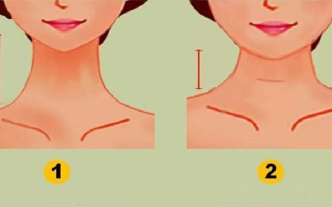 Chiều dài cổ hé lộ tính cách ẩn của 1 người, bất ngờ về nghề nghiệp tương lai