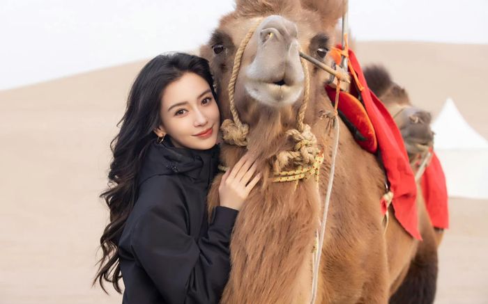 Tài khoản cá nhân của Angelababy bị hạn chế sau scandal