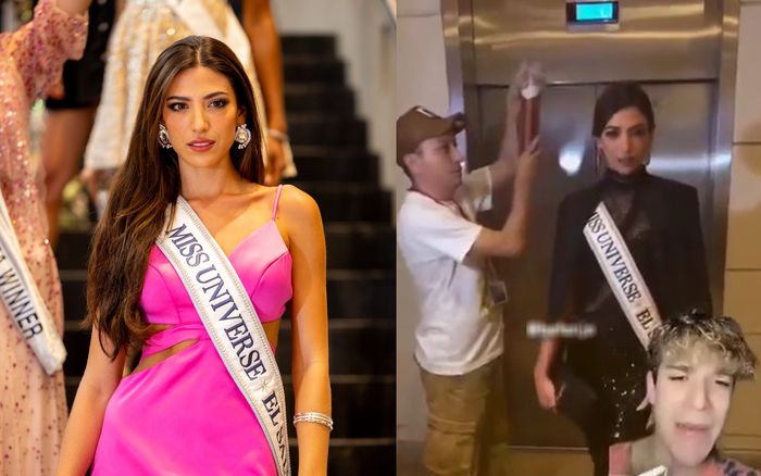 Đối thủ của Bùi Quỳnh Hoa bị tố 'gian lận', netizen tag chủ tịch Miss Universe 'méc'