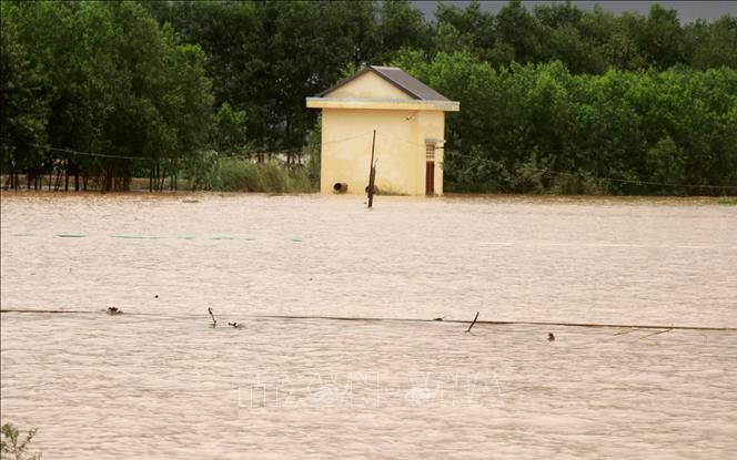 Mưa lớn kéo dài, một huyện ở Quảng Trị có 800 nhà dân bị ngập lụt
