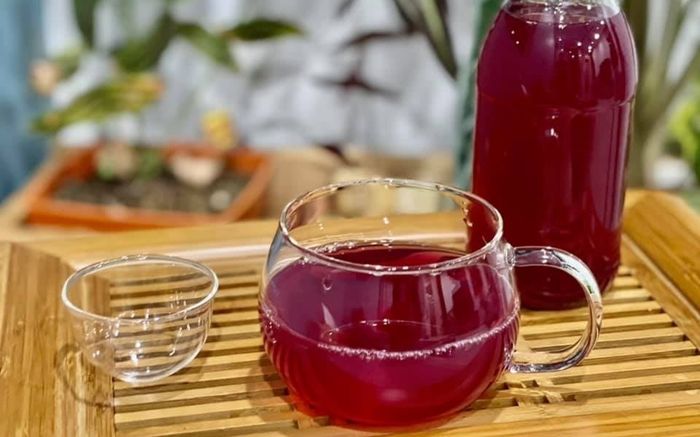 Uống nước lá tía tô tươi có lợi ích gì?