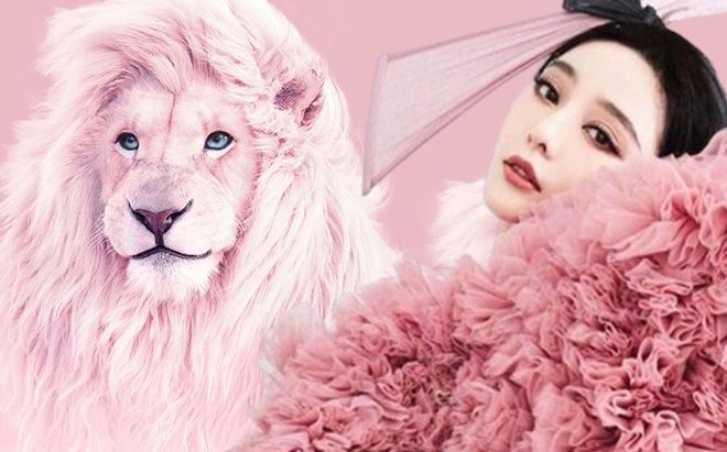 Đầu tháng 12 Dương: 3 cung hoàng đạo hỷ sự liên miên, tình duyên đỏ rực