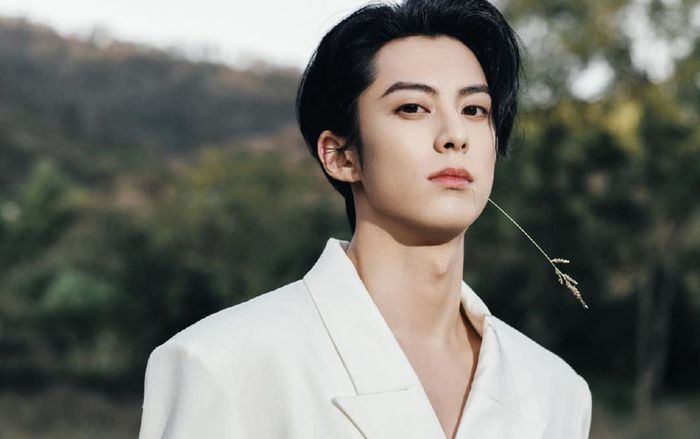 Vừa chia tay Bạch Lộc, Vương Hạc Đệ đã thông báo tin vui cùng em gái Triệu Lệ Dĩnh