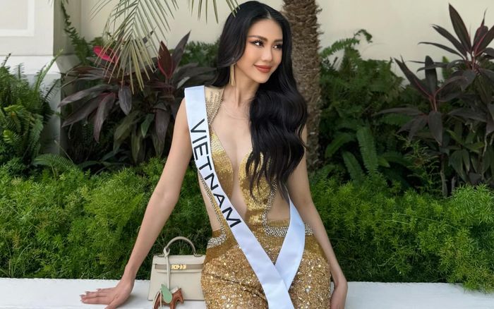 BGK Miss Universe Vietnam có hành động phũ phàng đối với Bùi Quỳnh Hoa tại Hoa hậu Hoàn vũ 2023?