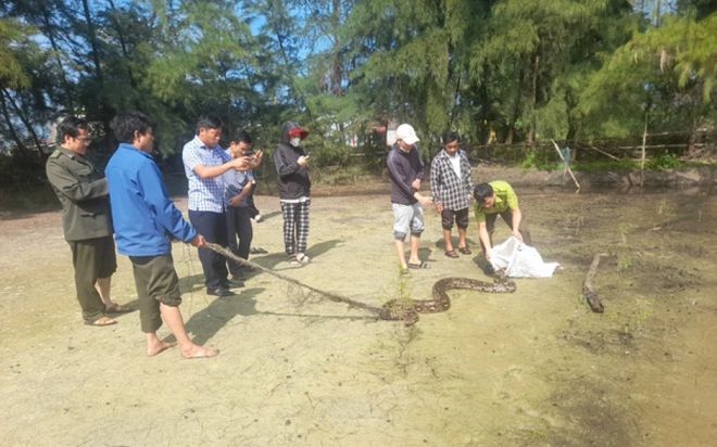 Đi câu cá, người đàn ông giật mình phát hiện 'nhân vật' đặc biệt nằm quằn quại trong tấm lưới dù