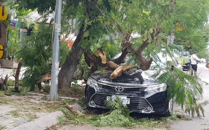 Gió mùa đông bắc tràn về mạnh làm gãy cây đè ô tô, lốc thổi tung mái tôn nhà dân