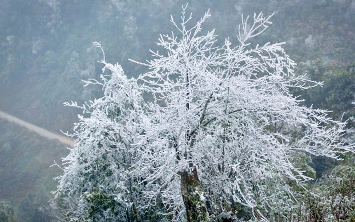 Không khí lạnh tăng cường, Bắc Bộ có khả năng xảy ra băng giá: Sẽ rét đậm đến khi nào?