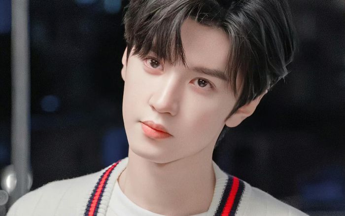 Hé lộ chân dung mẹ ruột của Trần Triết Viễn, bao nhiêu nét đẹp con trai thừa hưởng hết